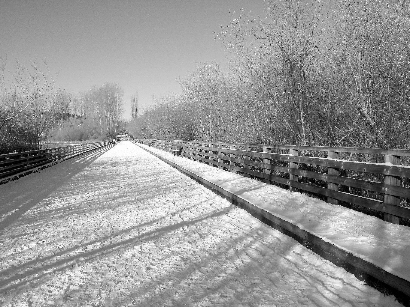 snow walk